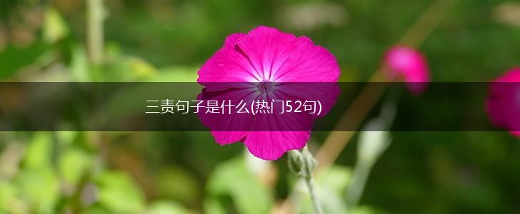 三责句子是什么(热门52句),第1张