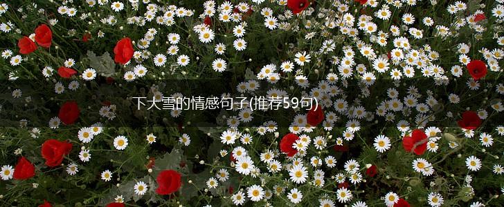 下大雪的情感句子(推荐59句),第1张