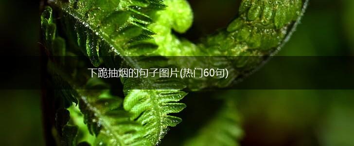 下跪抽烟的句子图片(热门60句),第1张