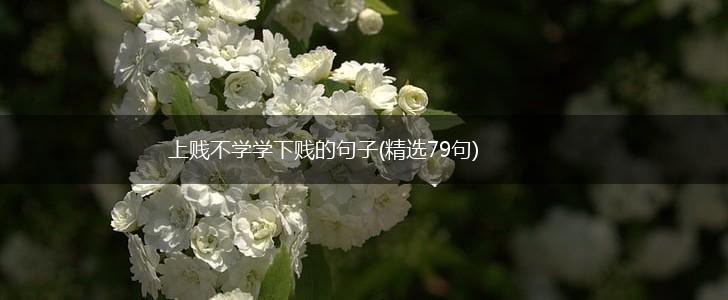 上贱不学学下贱的句子(精选79句),第1张