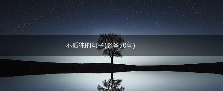 不孤独的句子(必备50句),第1张