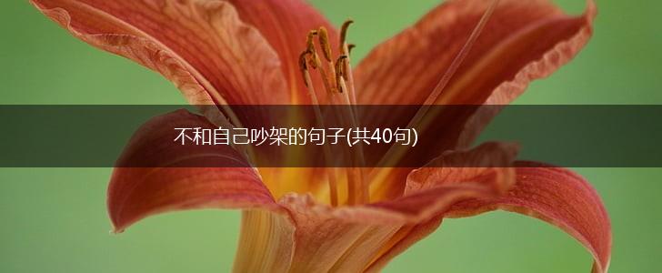 不和自己吵架的句子(共40句),第1张