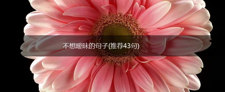 不想暧昧的句子(推荐43句),第1张