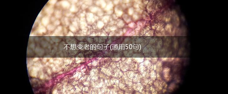 不想变老的句子(通用50句),第1张 不想变老的句子(通用50句),第1张