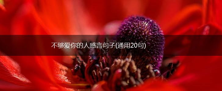 不够爱你的人感言句子(通用20句),第1张