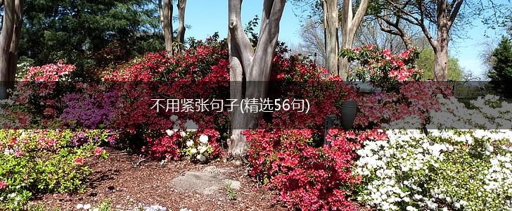 不用紧张句子(精选56句),第1张