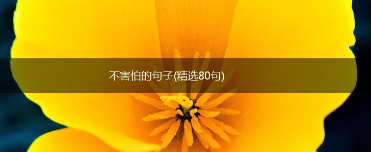 不害怕的句子(精选80句),第1张