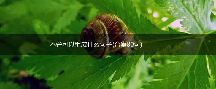 不舍可以组成什么句子(合集80句),第1张