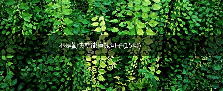 不是勤快就能挣钱句子(15句),第1张 不是勤快就能挣钱句子(15句),第1张
