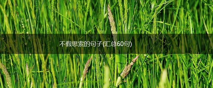 不假思索的句子(汇总60句),第1张