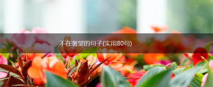 不在奢望的句子(实用80句),第1张