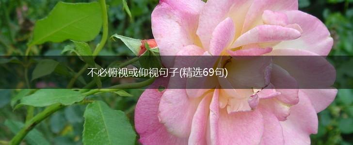 不必俯视或仰视句子(精选69句),第1张