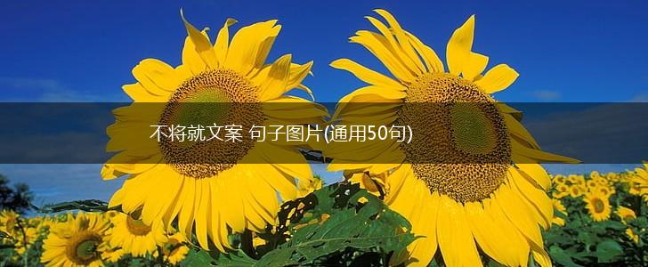 不将就文案 句子图片(通用50句),第1张