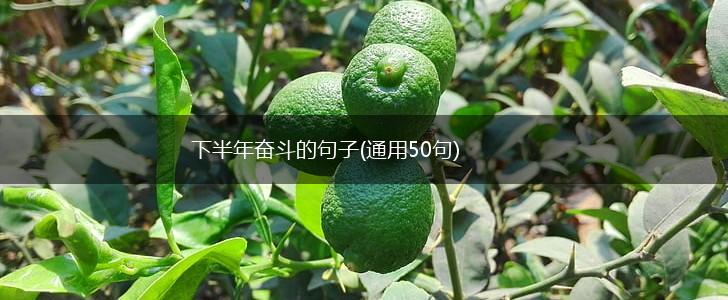 下半年奋斗的句子(通用50句),第1张