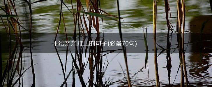 不给亲亲打工的句子(必备70句),第1张