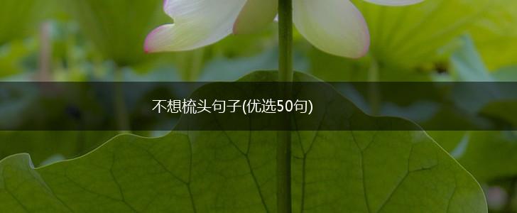 不想梳头句子(优选50句),第1张