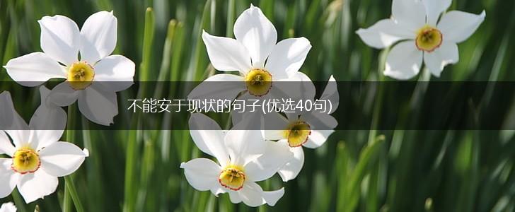 不能安于现状的句子(优选40句),第1张