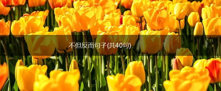 不但反而句子(共40句),第1张