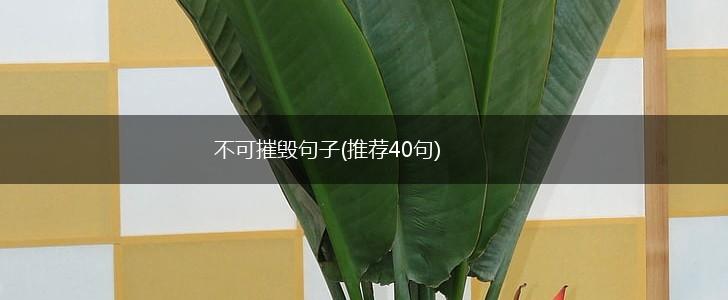 不可摧毁句子(推荐40句),第1张