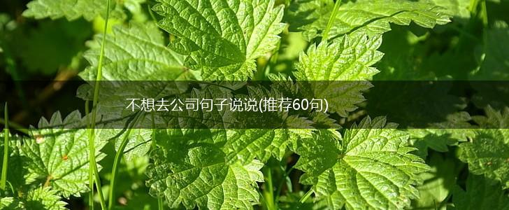 不想去公司句子说说(推荐60句),第1张