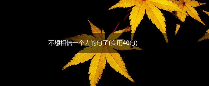 不想相信一个人的句子(实用40句),第1张
