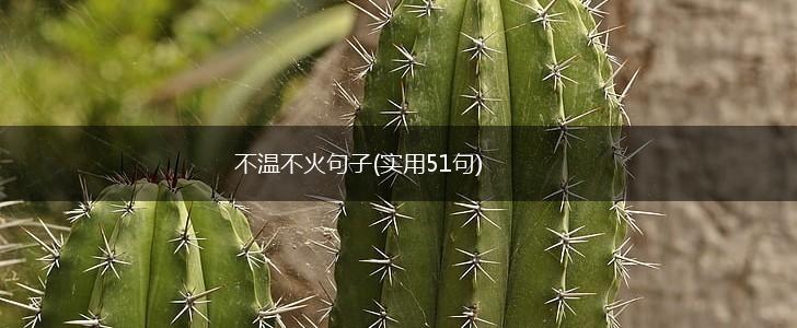 不温不火句子(实用51句),第1张