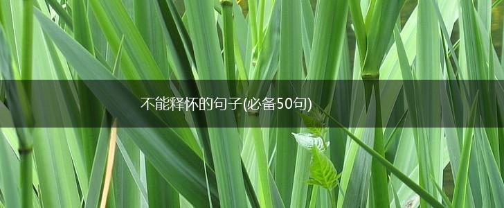 不能释怀的句子(必备50句),第1张