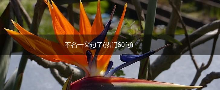 不名一文句子(热门60句),第1张