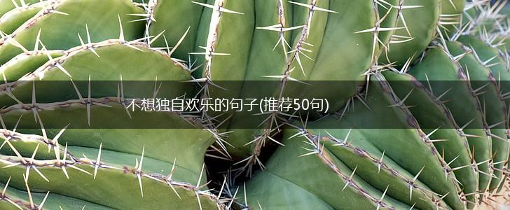 不想独自欢乐的句子(推荐50句),第1张