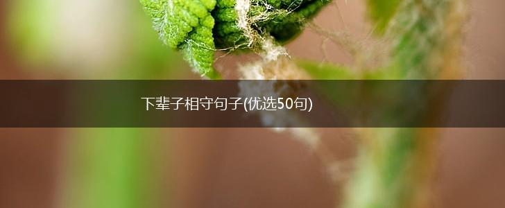 下辈子相守句子(优选50句),第1张