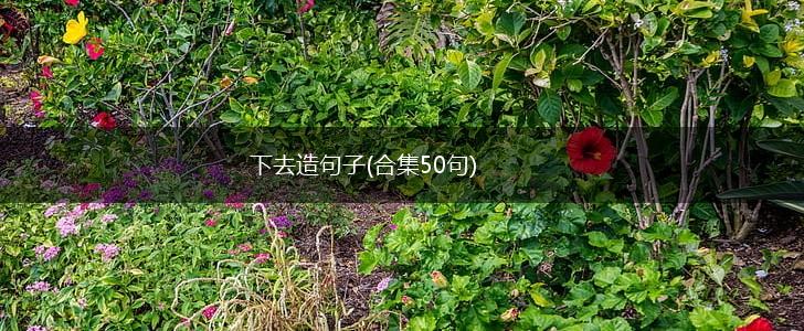 下去造句子(合集50句),第1张
