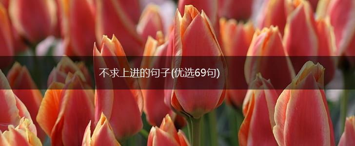 不求上进的句子(优选69句),第1张