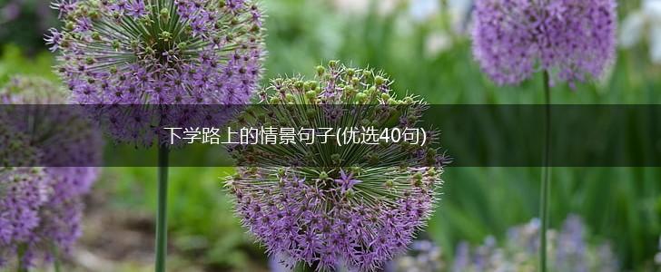 下学路上的情景句子(优选40句),第1张
