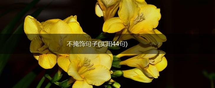 不掩饰句子(实用44句),第1张