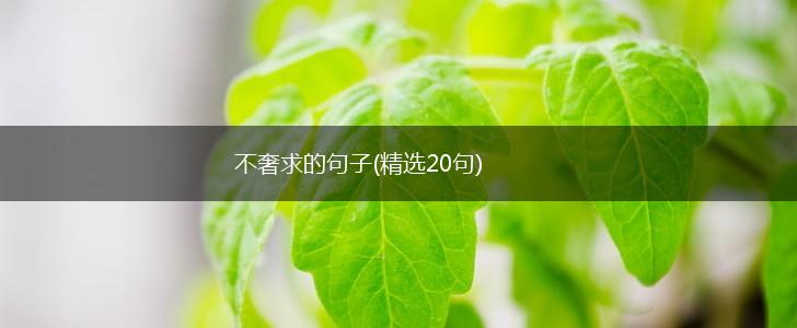 不奢求的句子(精选20句),第1张