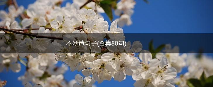 不妙造句子(合集80句),第1张