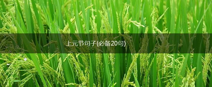 上元节句子(必备20句),第1张