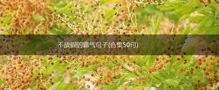 不放假的霸气句子(合集50句),第1张