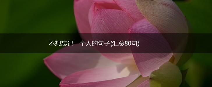 不想忘记一个人的句子(汇总80句),第1张