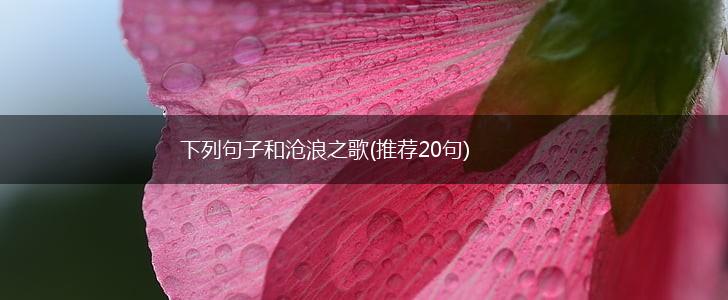 下列句子和沧浪之歌(推荐20句),第1张