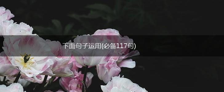 下面句子运用(必备117句),第1张