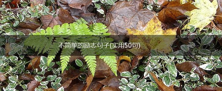 不简单的励志句子(实用50句),第1张