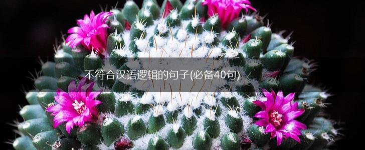 不符合汉语逻辑的句子(必备40句),第1张
