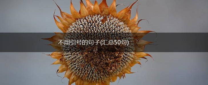不用引号的句子(汇总50句),第1张