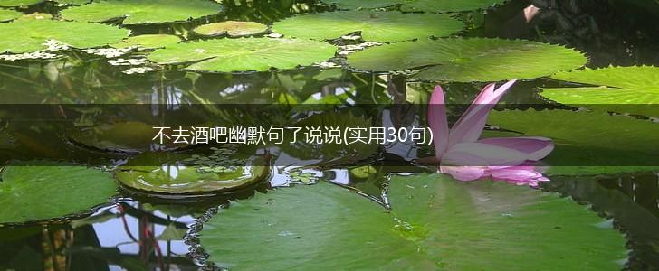 不去酒吧幽默句子说说(实用30句),第1张