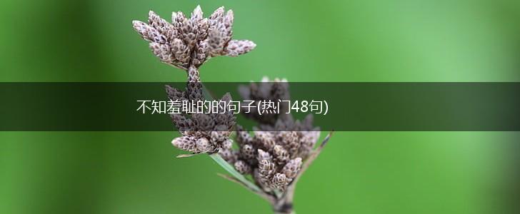不知羞耻的的句子(热门48句),第1张