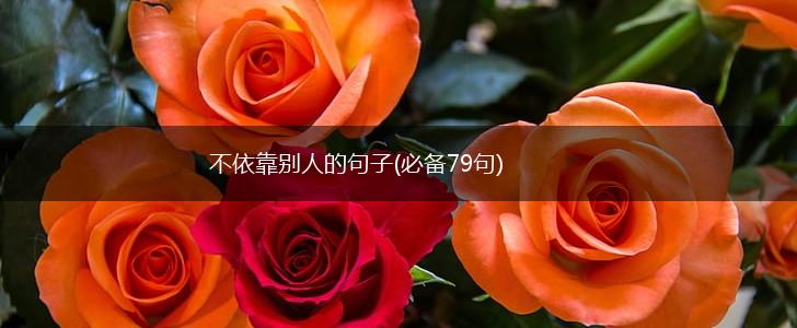 不依靠别人的句子(必备79句),第1张