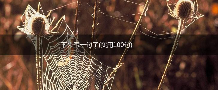 下来写一句子(实用100句),第1张