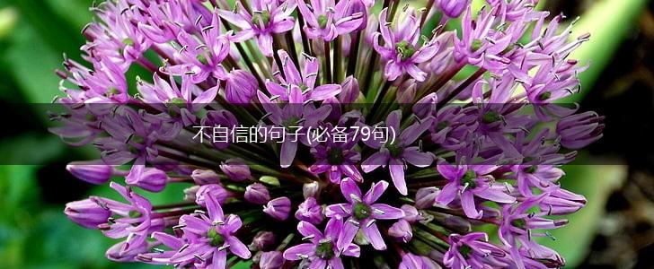 不自信的句子(必备79句),第1张