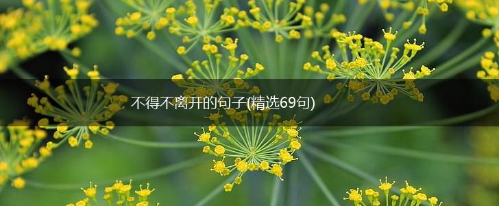 不得不离开的句子(精选69句),第1张